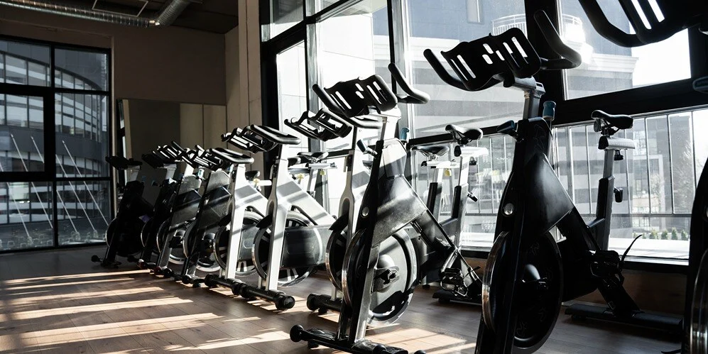 Bisnis Gym