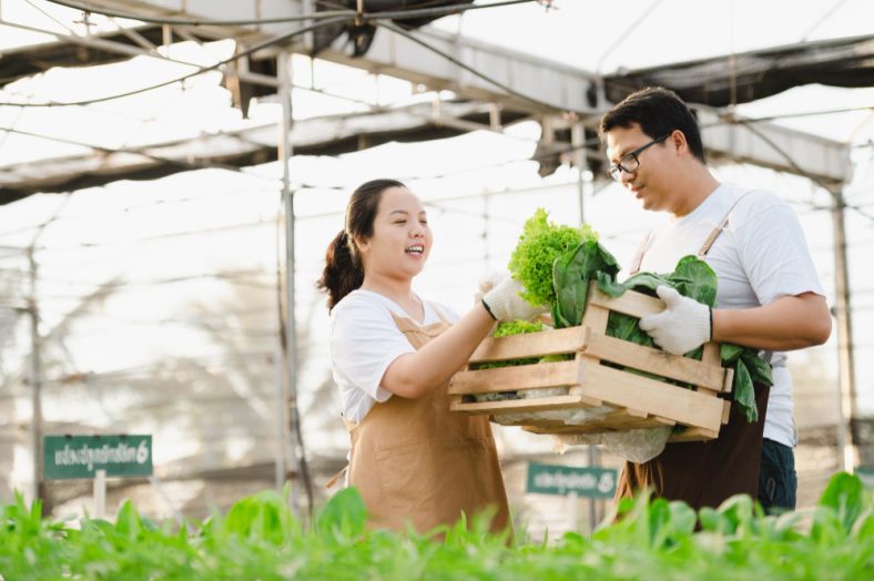 Bisnis Agraris