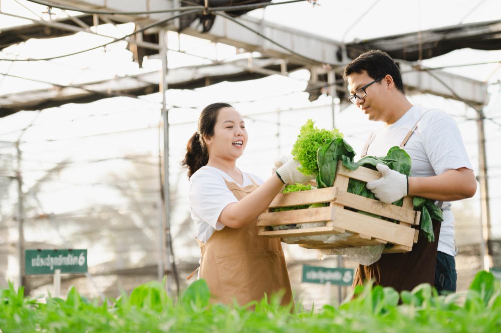 Bisnis Agraris